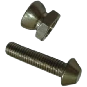 Anti Theft Bolt