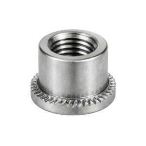 Clinch Nut