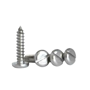 Pan Slotted Screw