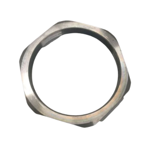 Check Nut